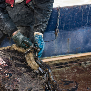 Kent Marine Towage Ltd